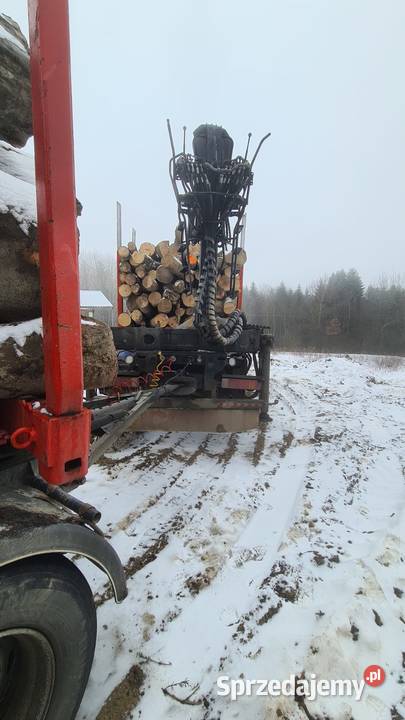 Scania R Scana R560 kłonice HDS przewóz drewna Sanok