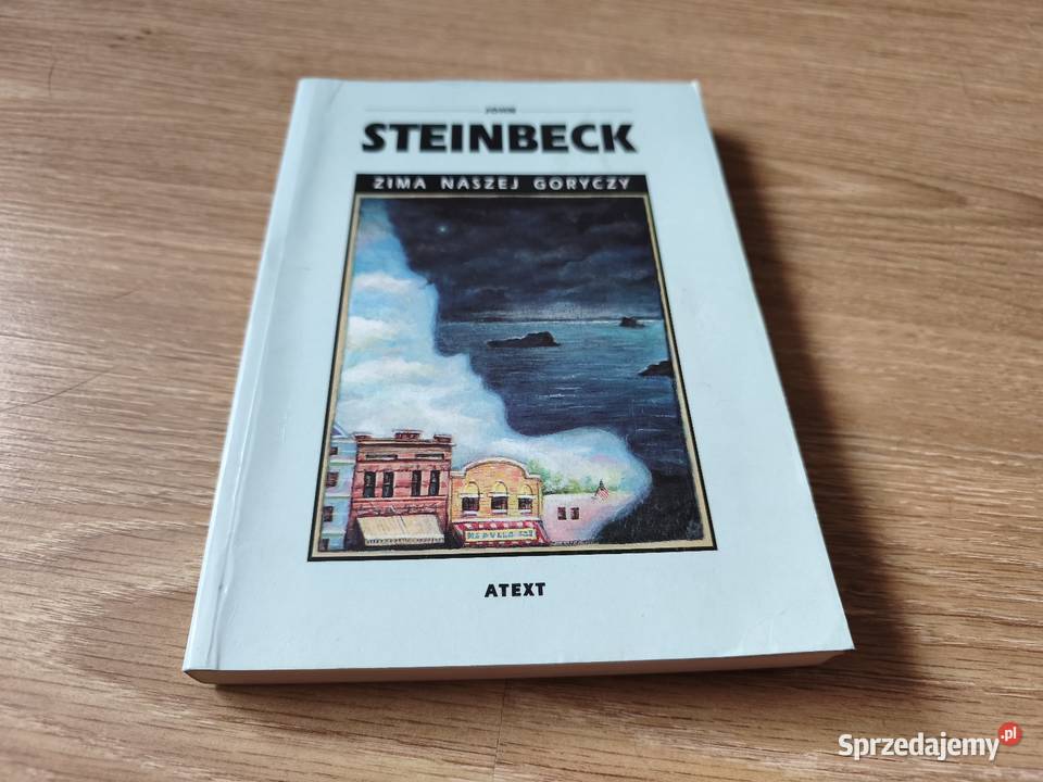Zima naszej goryczy noblisty John Steinbeck miękka Szczyrk