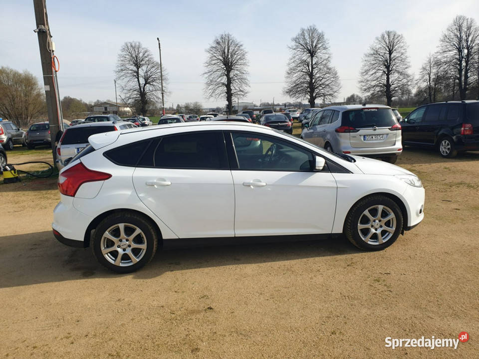 Ford Focus 16 86 Klimatronik Elektryka Zadbany dolnośląskie Strzegom