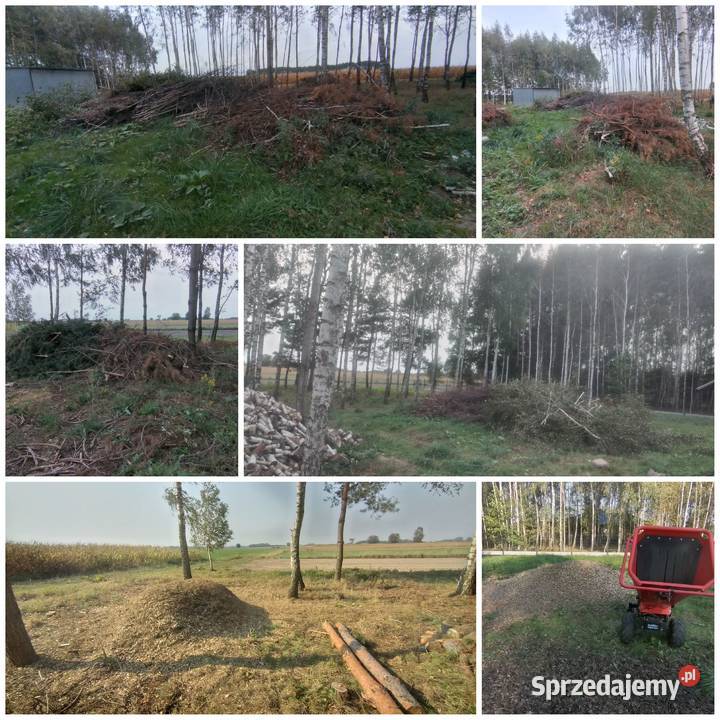 Cięcie łupanie sprzedaz drewna Usługi rebakiem Bielsk Podlaski