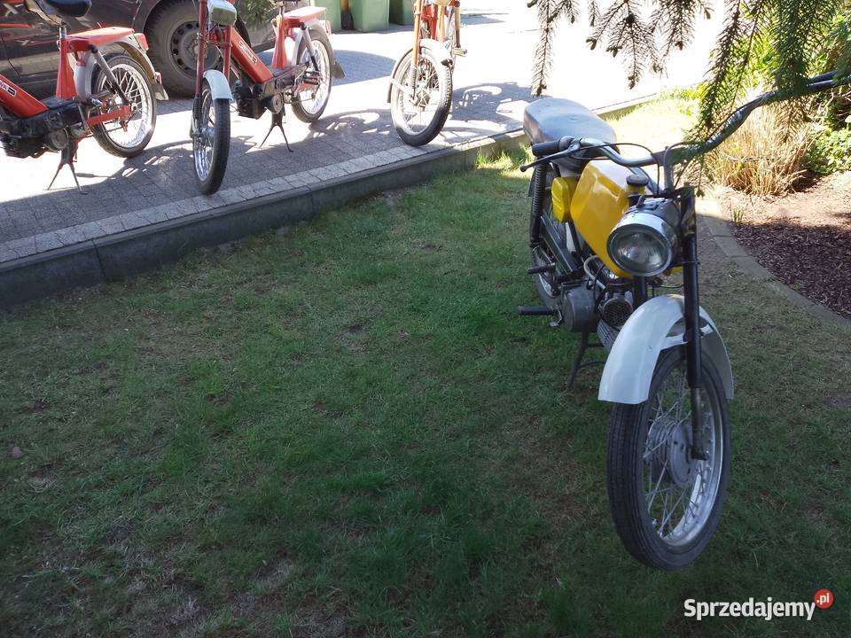 Jawa Mustang Plewiska