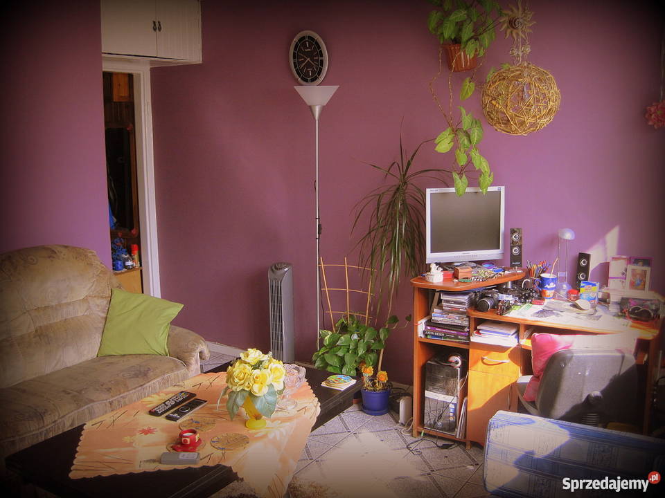 kawalerka w Nowogardzie Mieszkania Nowogard