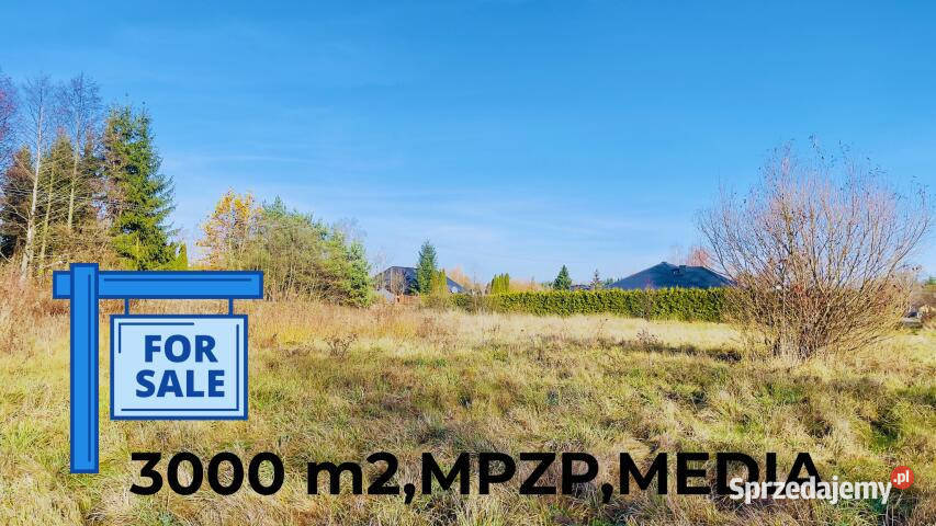 Działkę sprzedam Radonie Ptasia 3000 metrów 50m