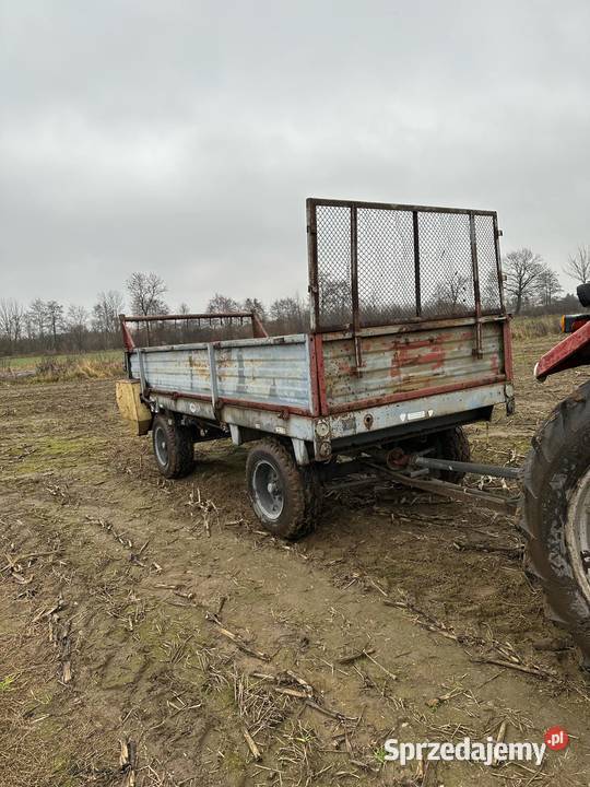 Sprzedam rozrzutnik obornika czarna białostocka Sieraków