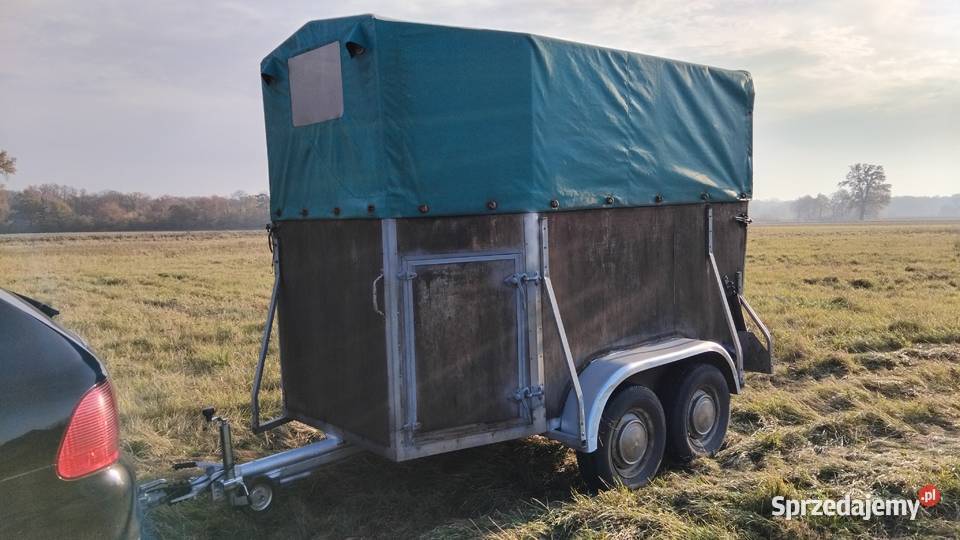 Przyczepa do przewozu koni niemiecka Oława