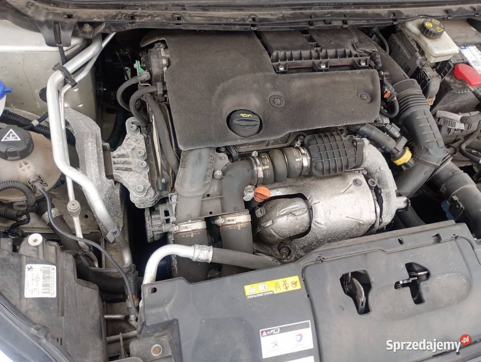 308 308 kujawsko-pomorskie Kruszwica