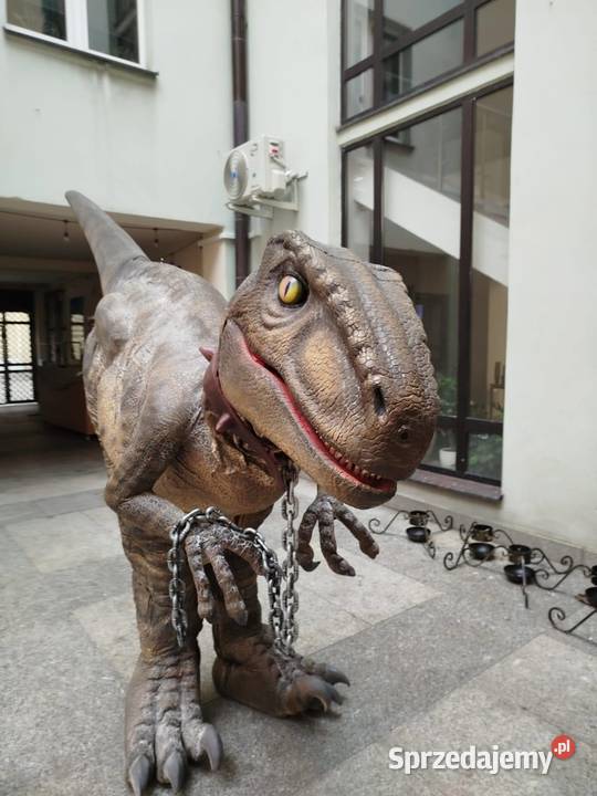 Dinozaur Raptor strzelnica Oleśnica
