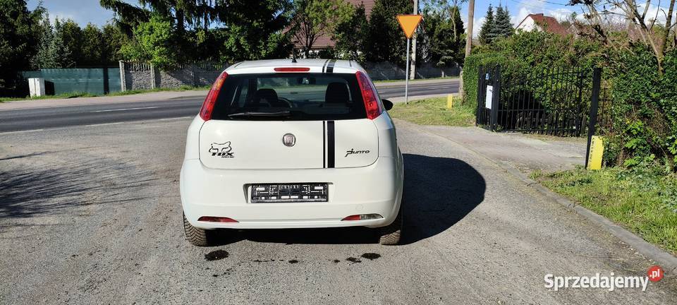 Fiat Grande Punto Punto Sulęcin