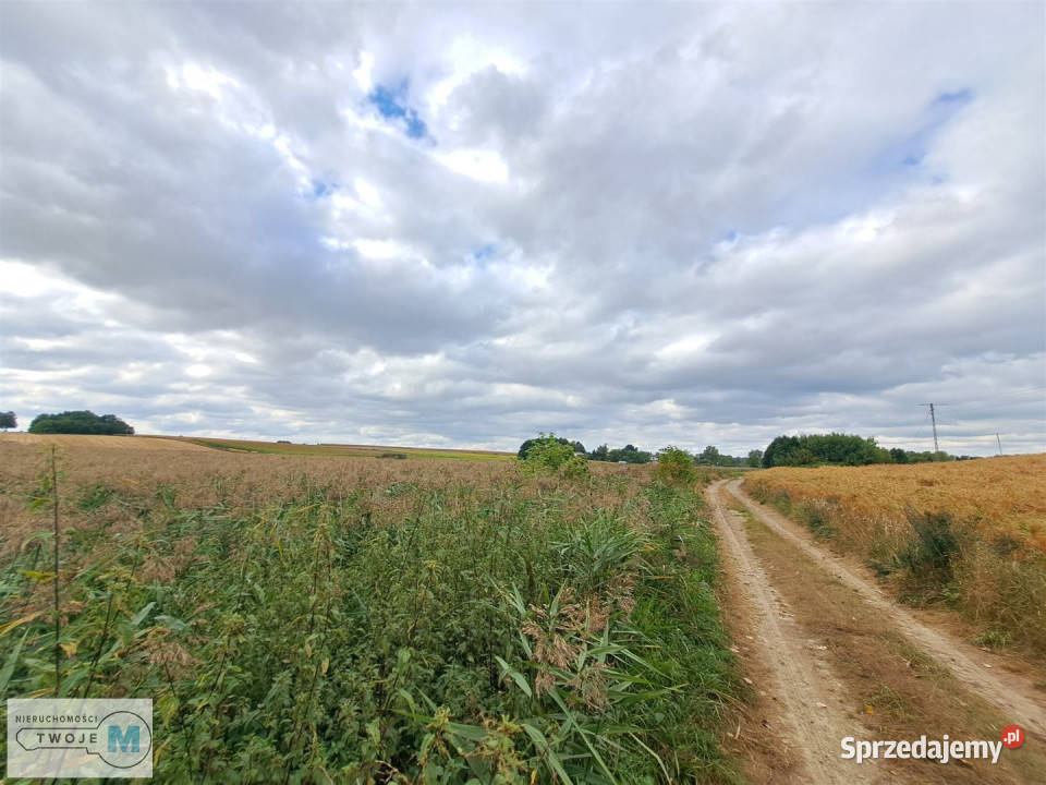 Dom do sprzedania 57m2 Ożarów