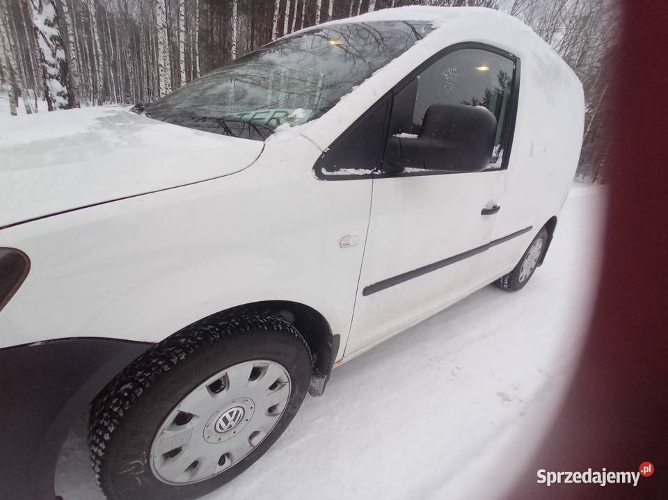 Candy 1 6 TDI manualna Wielbark