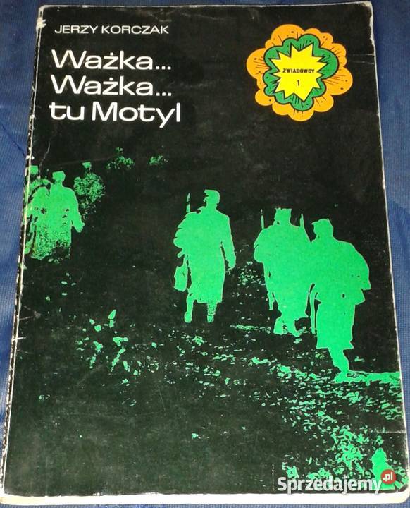 Ważka Ważka tu Motyl Jerzy Korczak miękka lubelskie Chełm