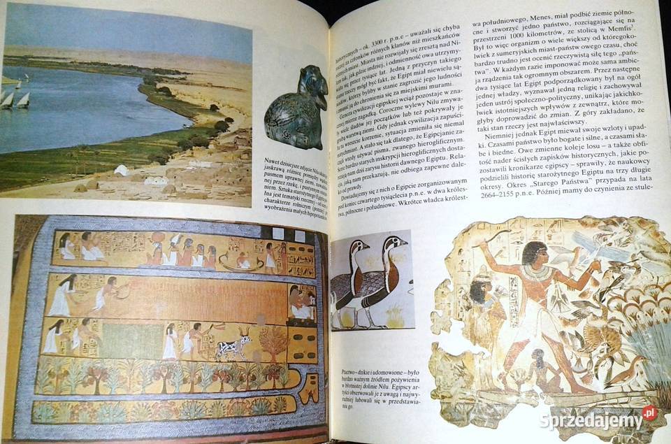 Pierwsi ludzie pierwsze cywilizacje Tom 1 John lubelskie Chełm