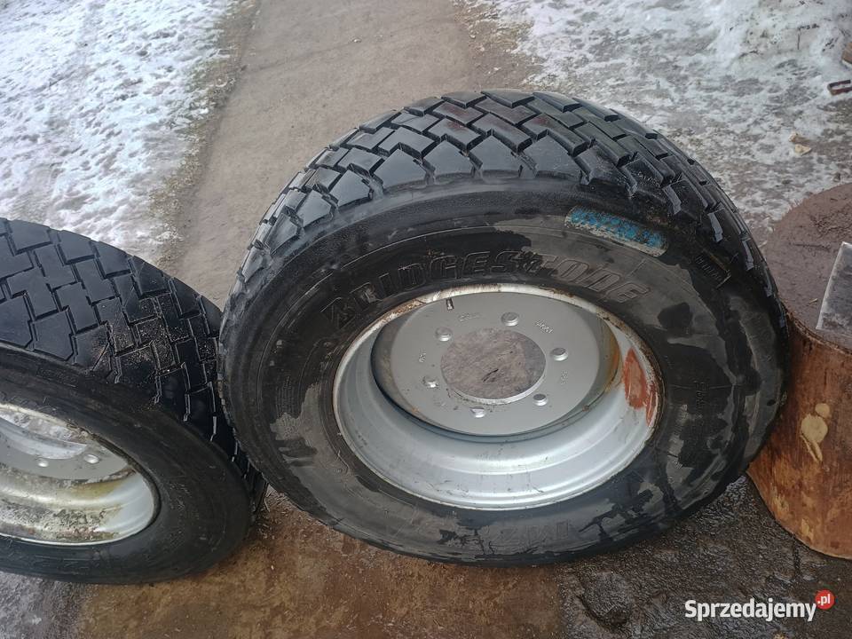 Koła 26570175 balonówki Pińczów