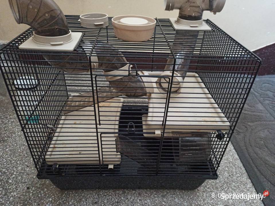 Klatka na gryzonie zachodniopomorskie Koszalin