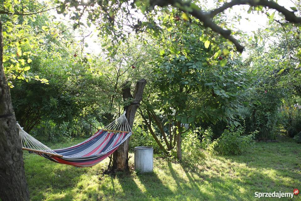 Ogródek działka ROD Zorza Śródmieście dolnośląskie Wrocław