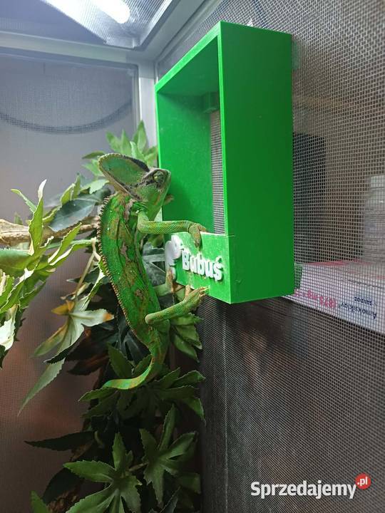 OKAZJA Kameleon z Terrarium zestaw Zwierzęta wielkopolskie