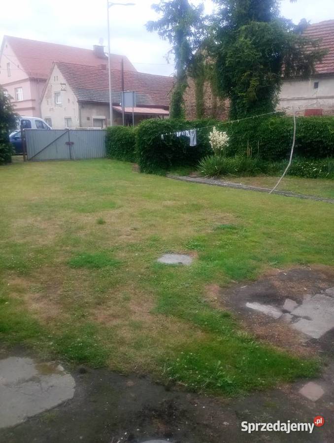 Sprzedam dom Domy Grodków