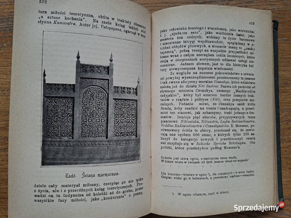 Historya Literatury Indyjskiej JA Święcicki Kraków
