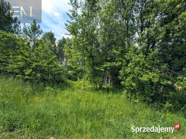 sprzedaży gruntu 4600m2 Szufnarowa rekreacyjna sprzedam