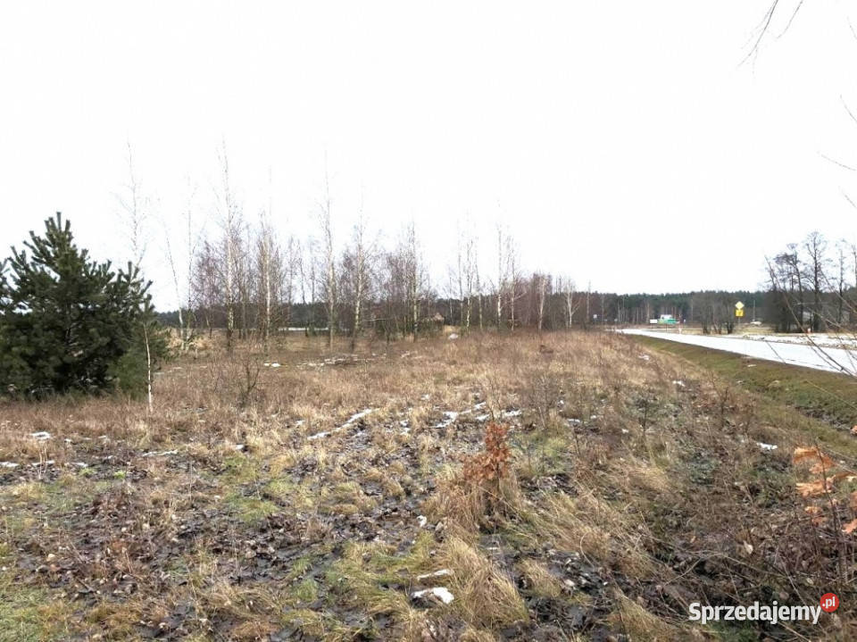 Na sprzedaż działka rolna 70 Warszawy mazowieckie Boguszków sprzedam