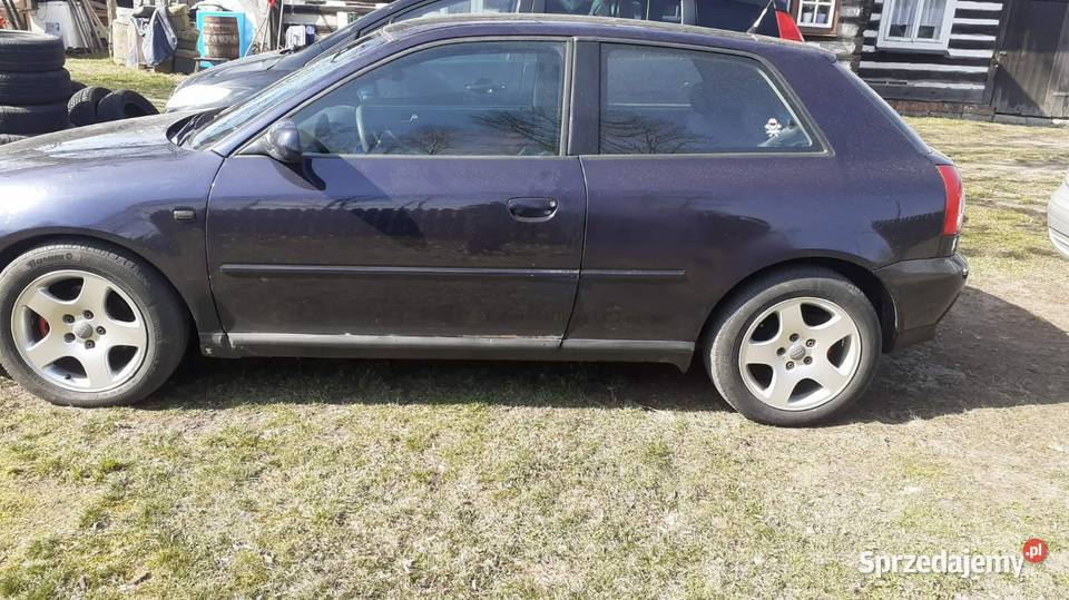 Audi a3 8l Łowisko