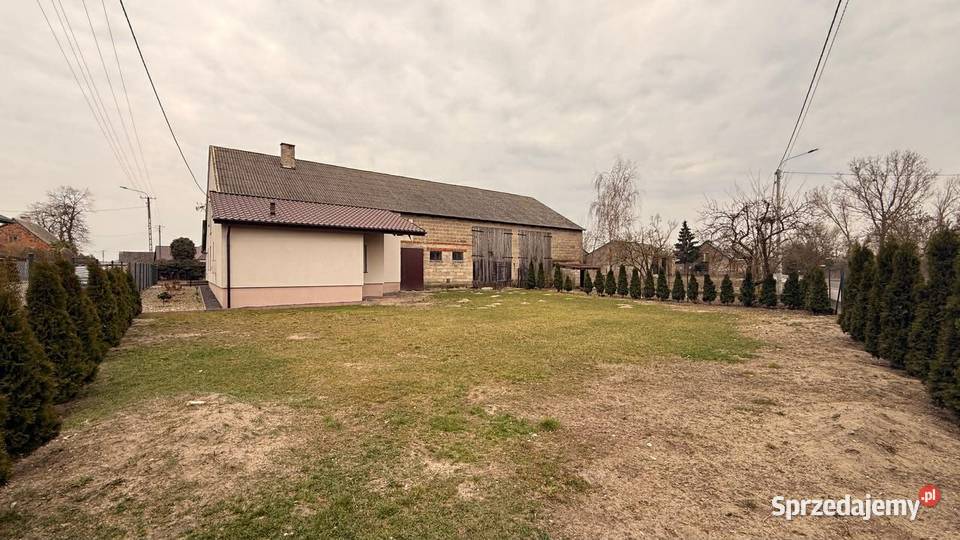 Na sprzedaż siedlisko Ratyń 3ha Warty