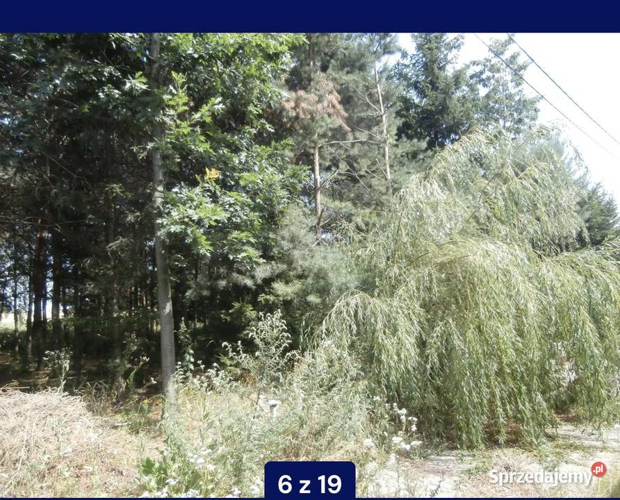 Dom wolno stojący budynki gospodarcze 1.14m2 Chojno Nowe Drugie