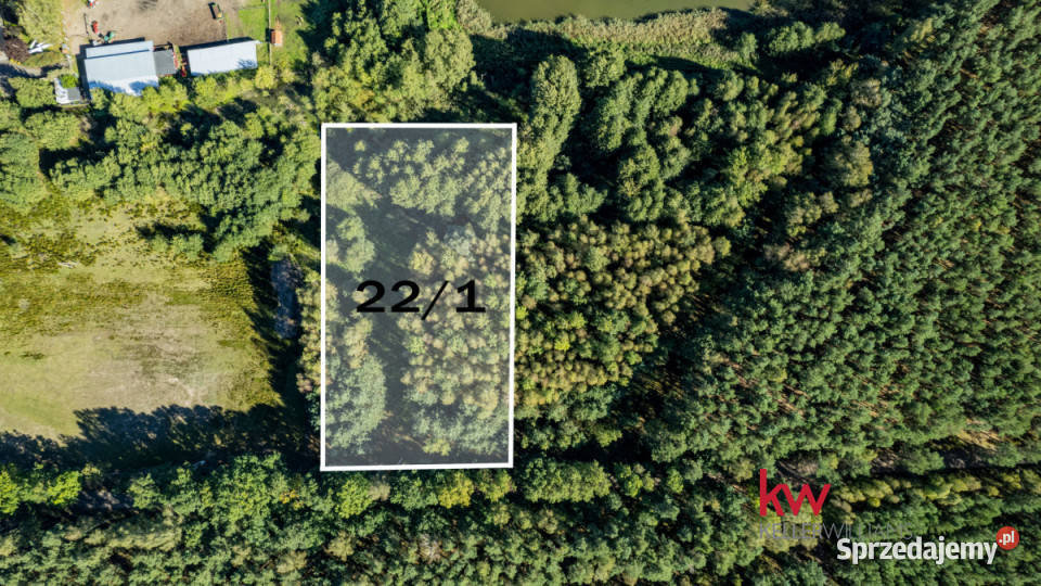 Działka TrzcielOdbudowa 6632m2 polna Trzciel-Odbudowa