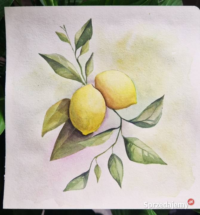Oryginalne malarstwo akwarelą Malarstwo