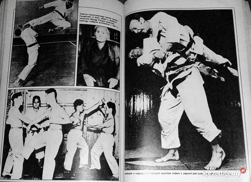 Tajemnice Kung Fu Marian Butrym Wisława Orlińska Chełm