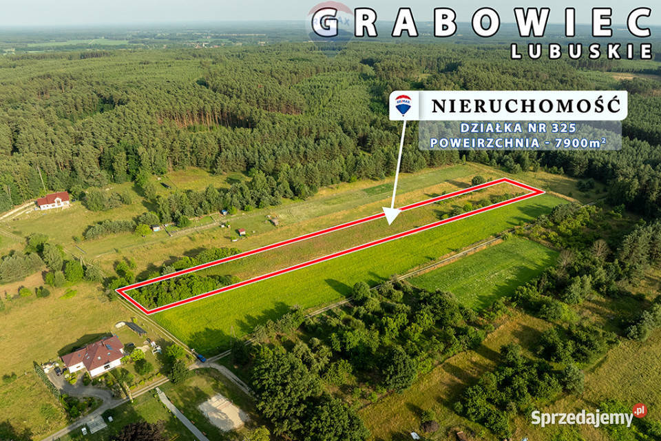 Na sprzedaż działka rolna 7900 m2 pod lasem Grabowiec