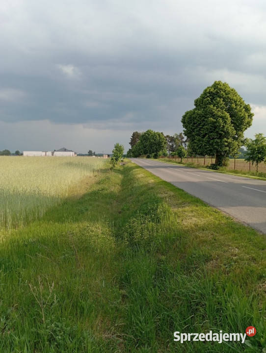 Sprzedam działkę budowlaną 1760m Kownaty gm mazowieckie