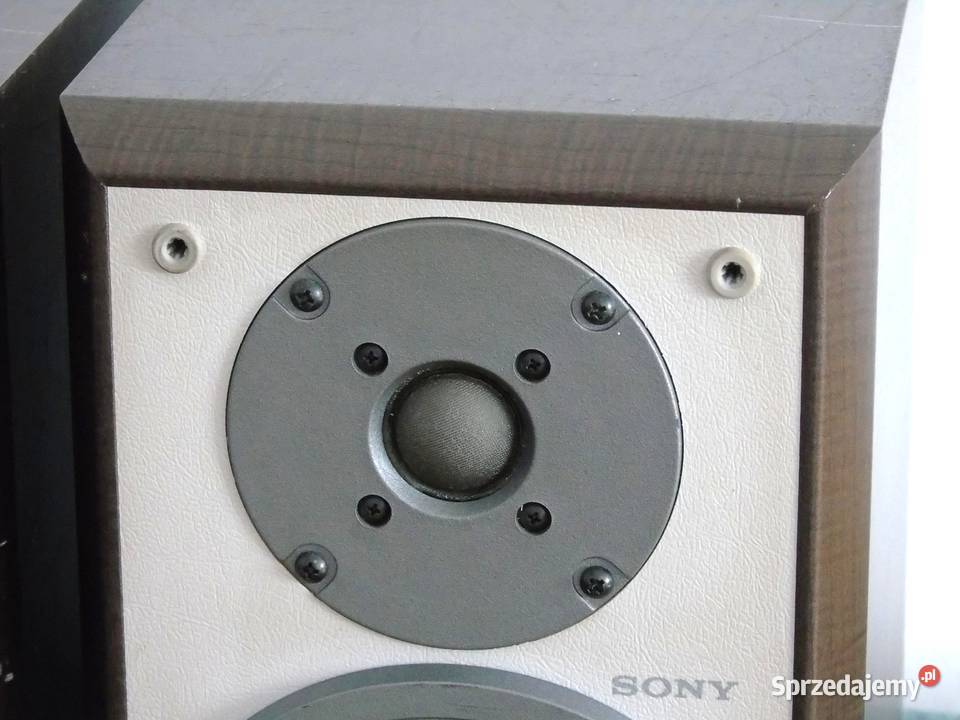 Kolumny Sony SSCSP55 sprawne 8ohm DOSTAWA Jasło