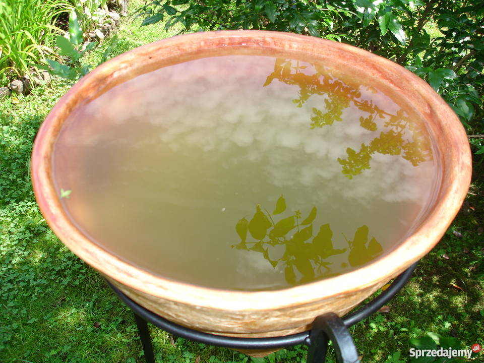 Donica ceramiczna mrozoodporna w stojaku 100