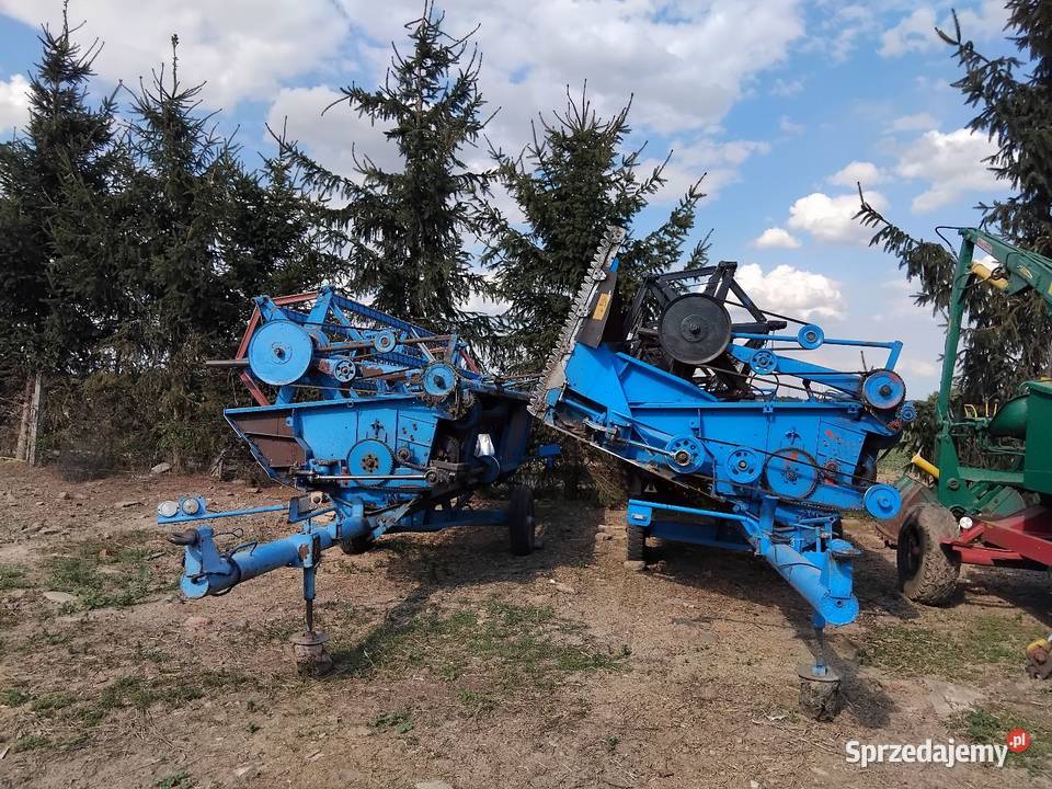 Bizon rekord z058 dolnośląskie Ogonowice