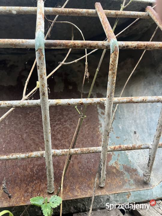 Sprzedam betoniarkę Mieszalnik do Ciągnika Oława