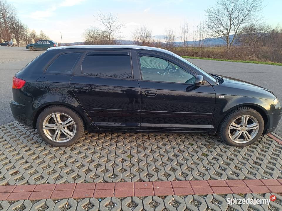 Audi A3 8P 19tdi 5 drzwi sportback Nowy Żmigród sprzedam