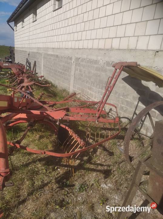 niemeyer nieuszkodzony