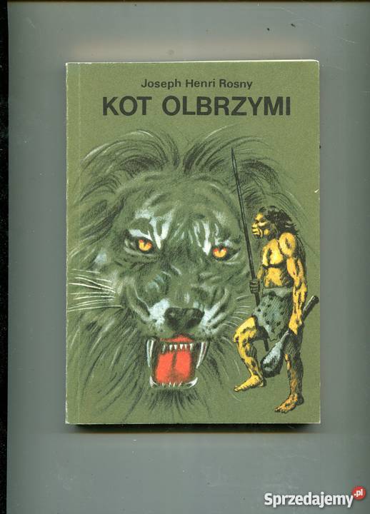 Kot Olbrzymi Rosny zachodniopomorskie Szczecin