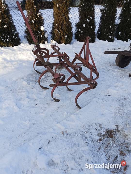 Sam esiok papaj małopolskie Kocmyrzów