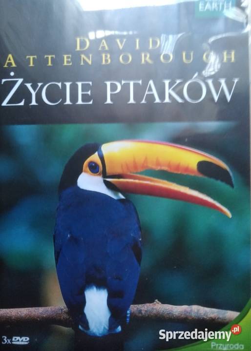 Płyty DVD Biskupiec