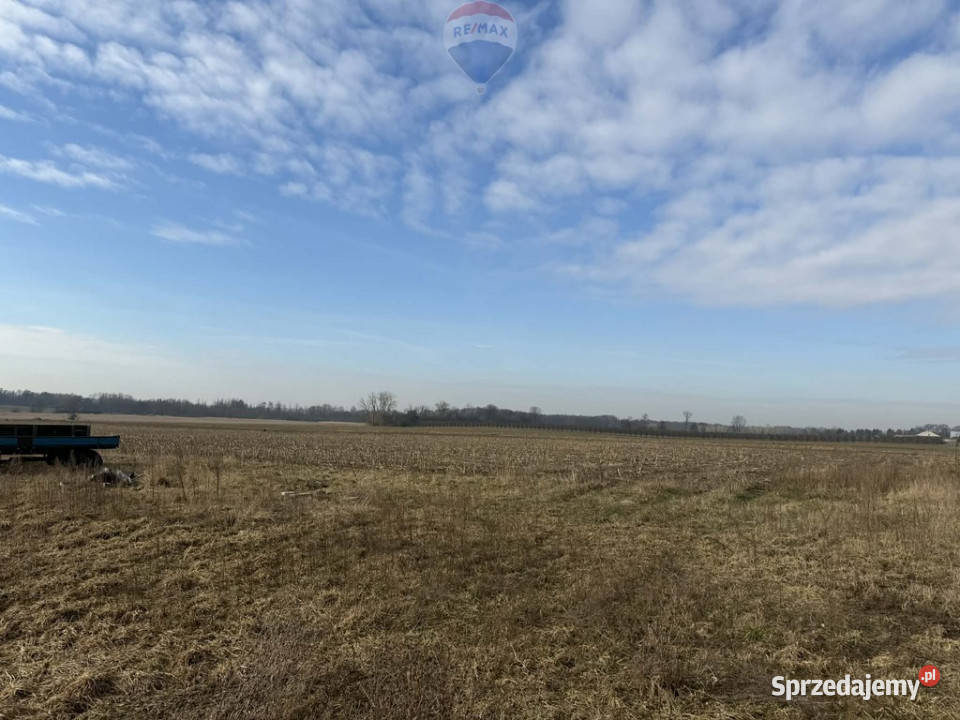 Siedlisko z wydanymi 4WZ Sprzedaż mazowieckie Pasikonie