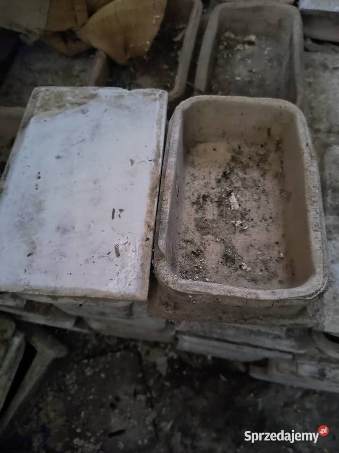 Kafelki Cyców sprzedam