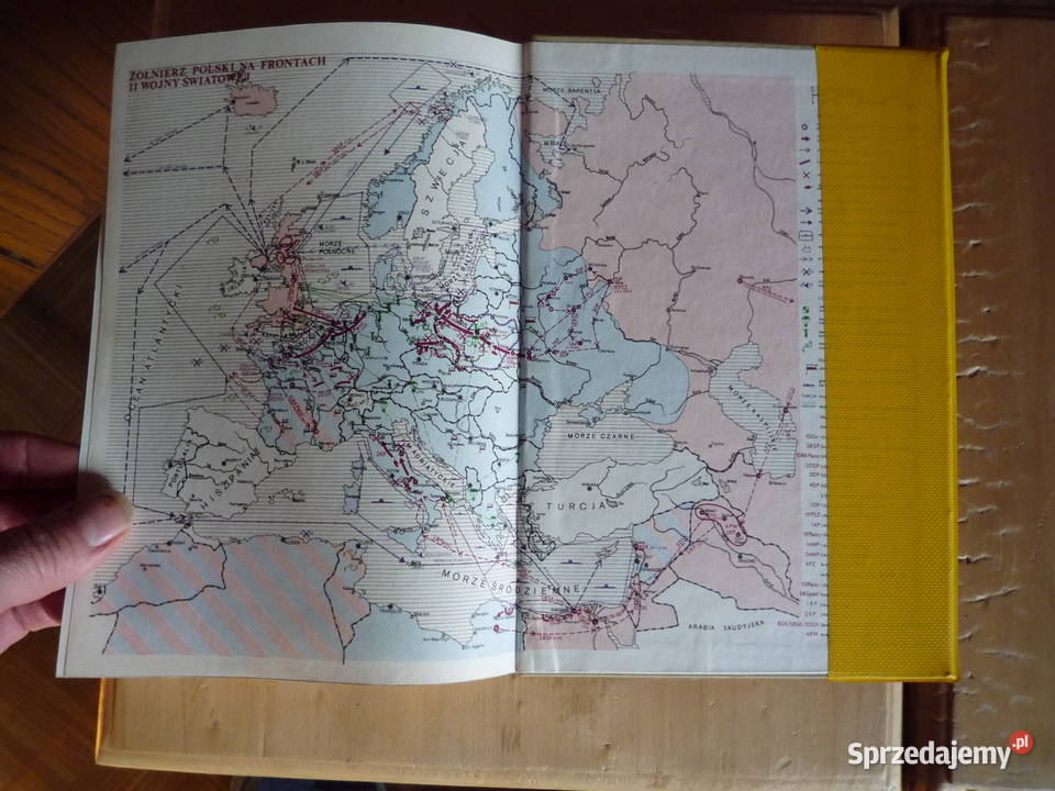 wojsko polskie barwa i broń 1939 45 podkarpackie Lutowiska sprzedam