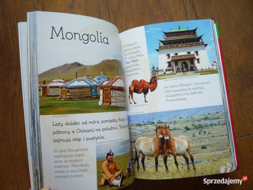 NOWA Moja pierwsza encyklopedia świata P Szczecin sprzedam