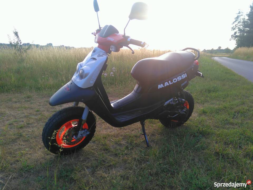 Peugeot squab trekker leo vince ZX Naprawdę Staszów