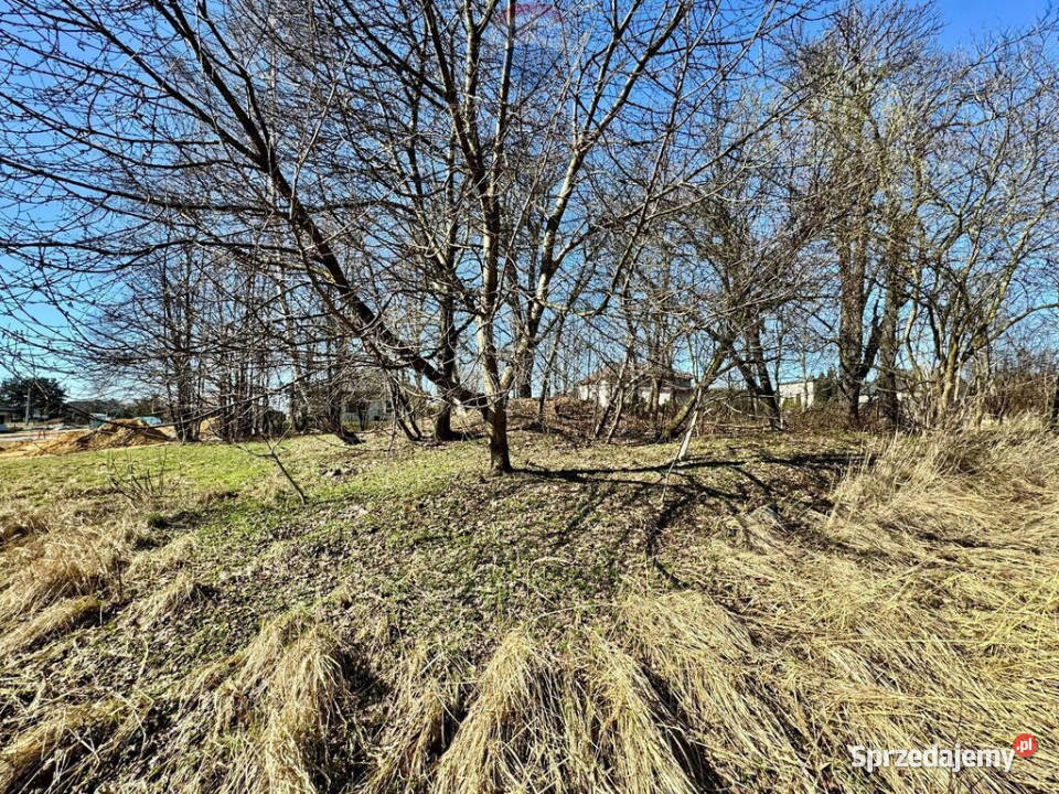 Działka budowlanousługowa Radlin Biertułtowy Sprzedaż