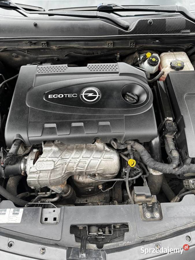 Opel Insignia 20 tdi Długołęka