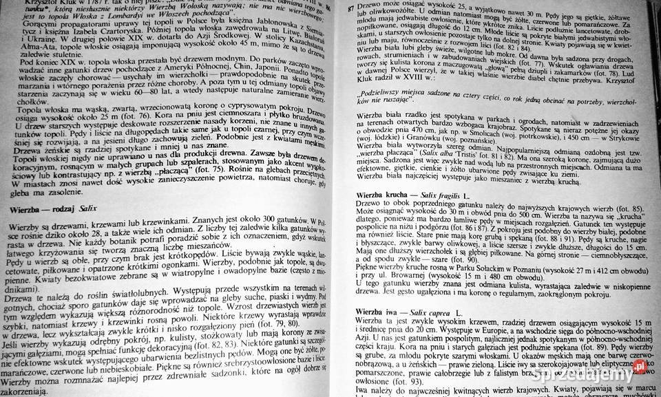 Nasze drzewa Władysław Strojny twarda z obwolutą Pozostałe Chełm