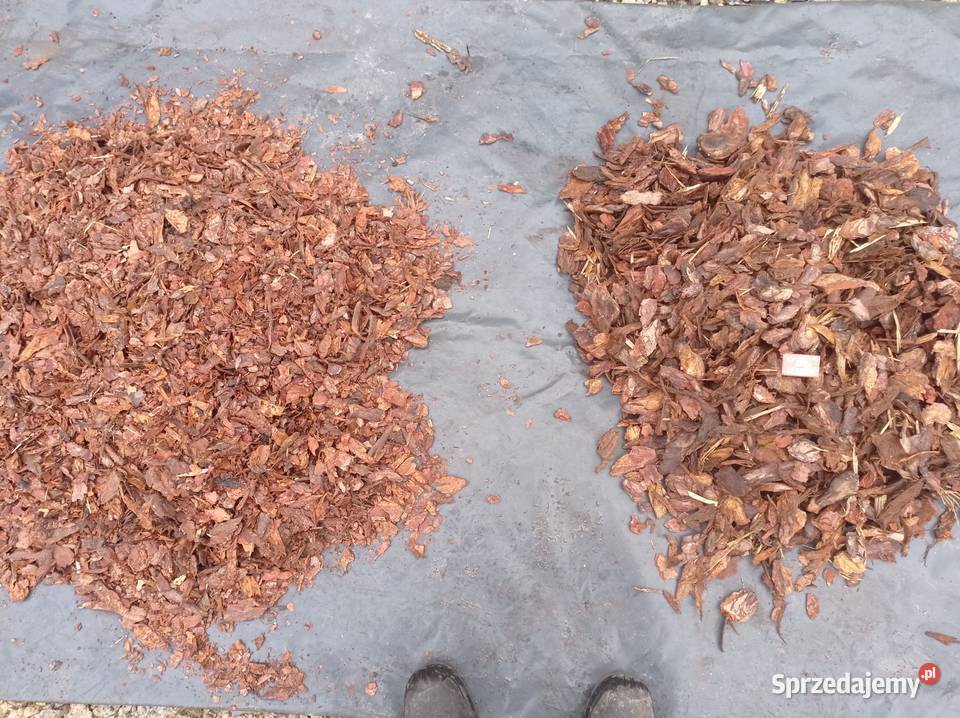 Kora ogrodowa sosnowa ozdobna dekoracyjna Chrzanów sprzedam